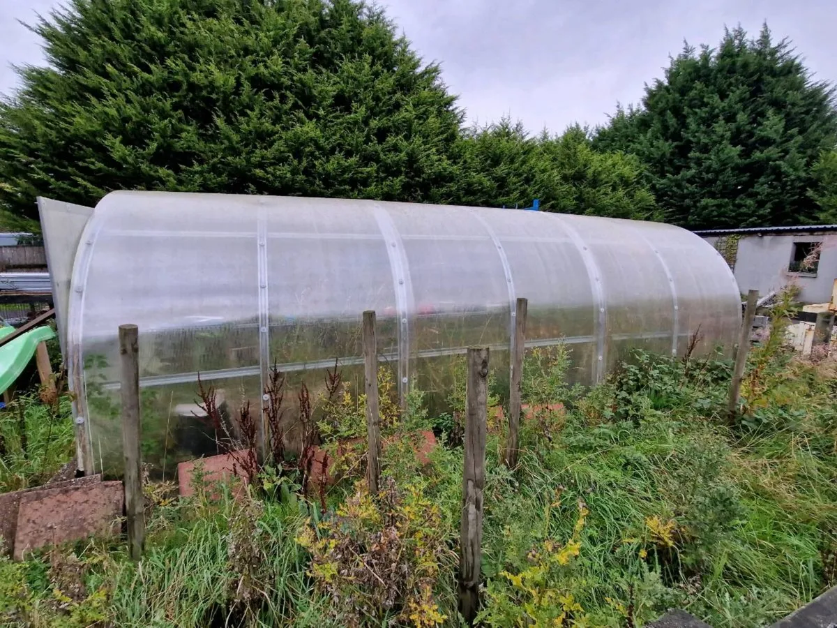 Pollytunnel - Image 2