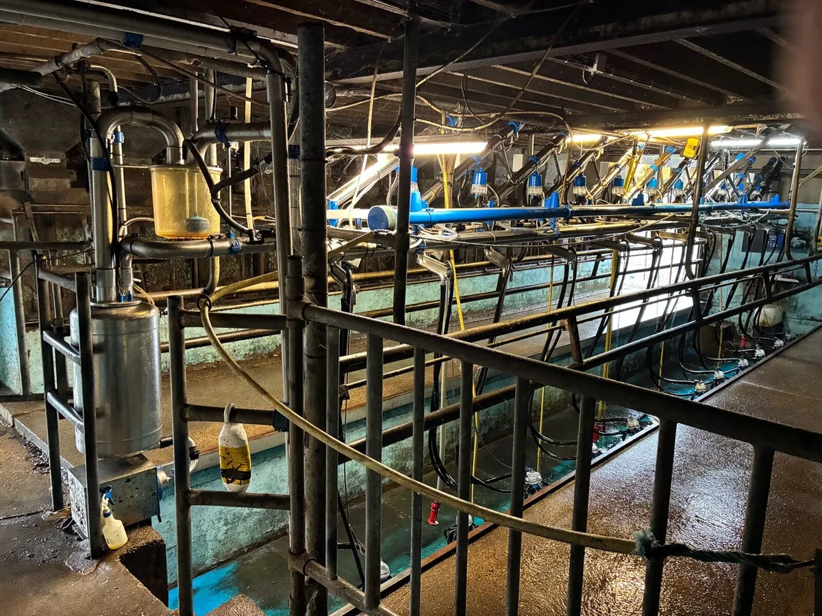 🐄12 Unit Dairymaster Milking Parlour 🐄 - Image 1