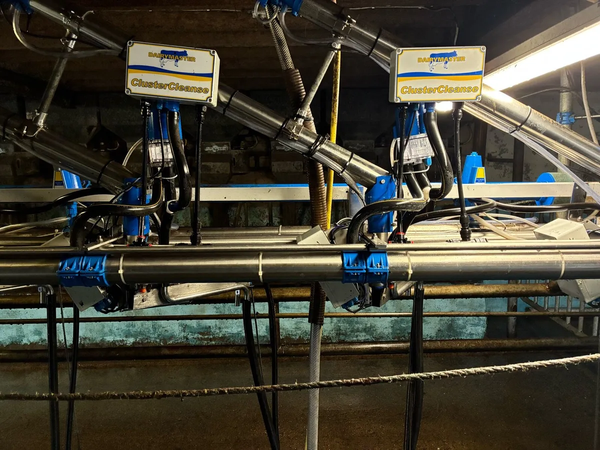 🐄12 Unit Dairymaster Milking Parlour 🐄 - Image 2