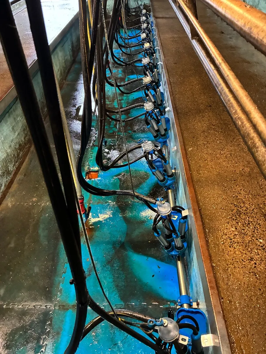 🐄12 Unit Dairymaster Milking Parlour 🐄 - Image 4