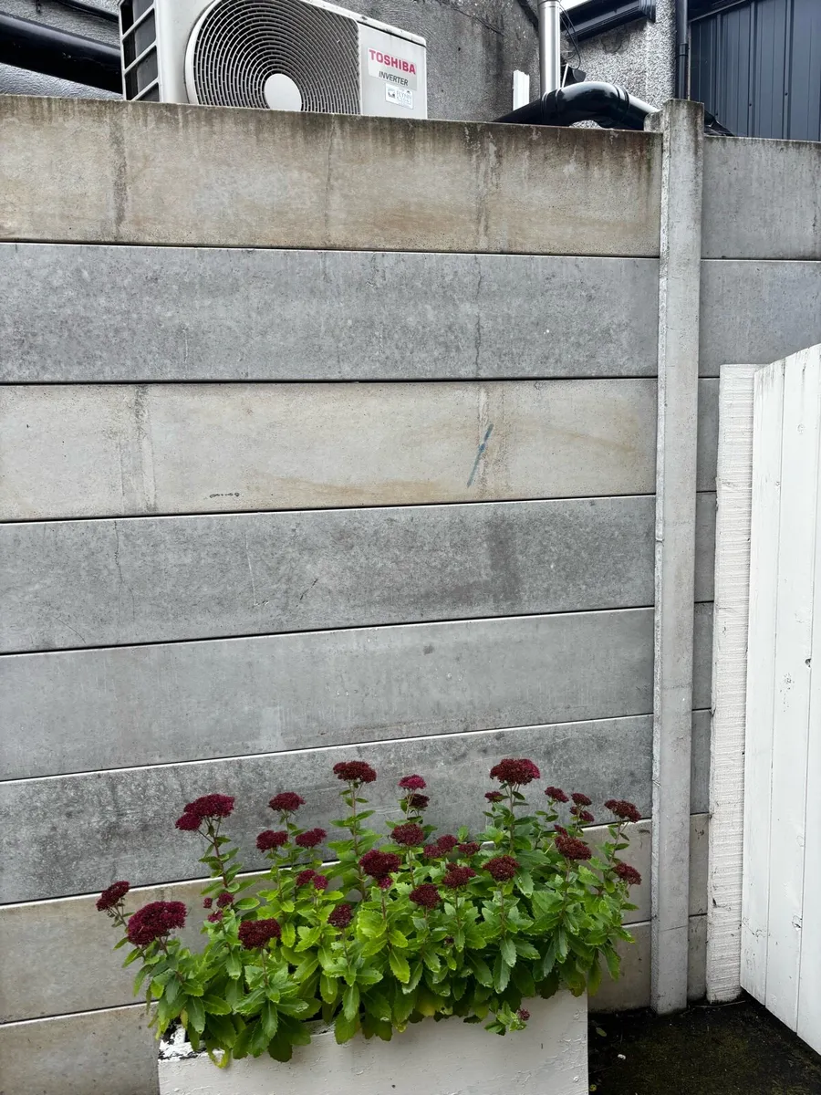 Concrete Fence Panels - Image 1