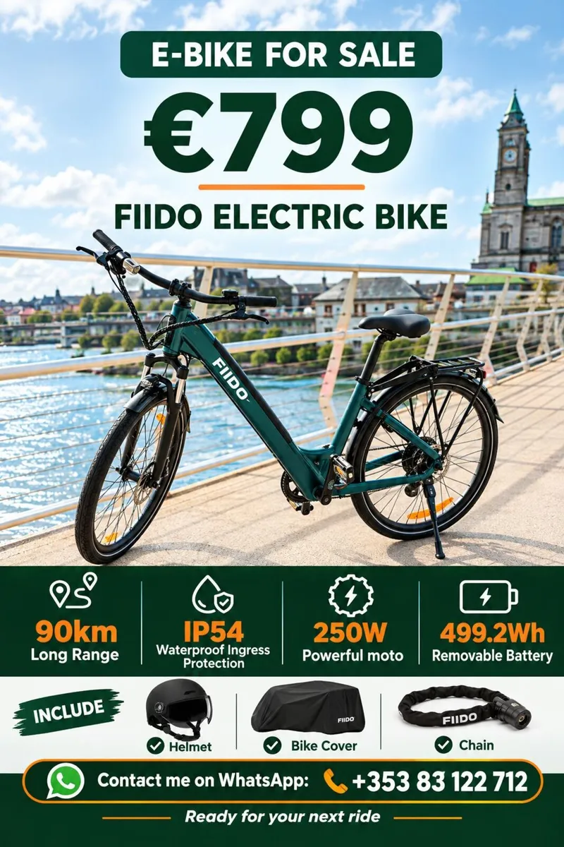 FIIDO C11 Electric Bike - Image 1