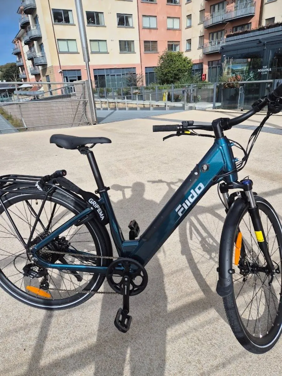 FIIDO C11 Electric Bike - Image 4
