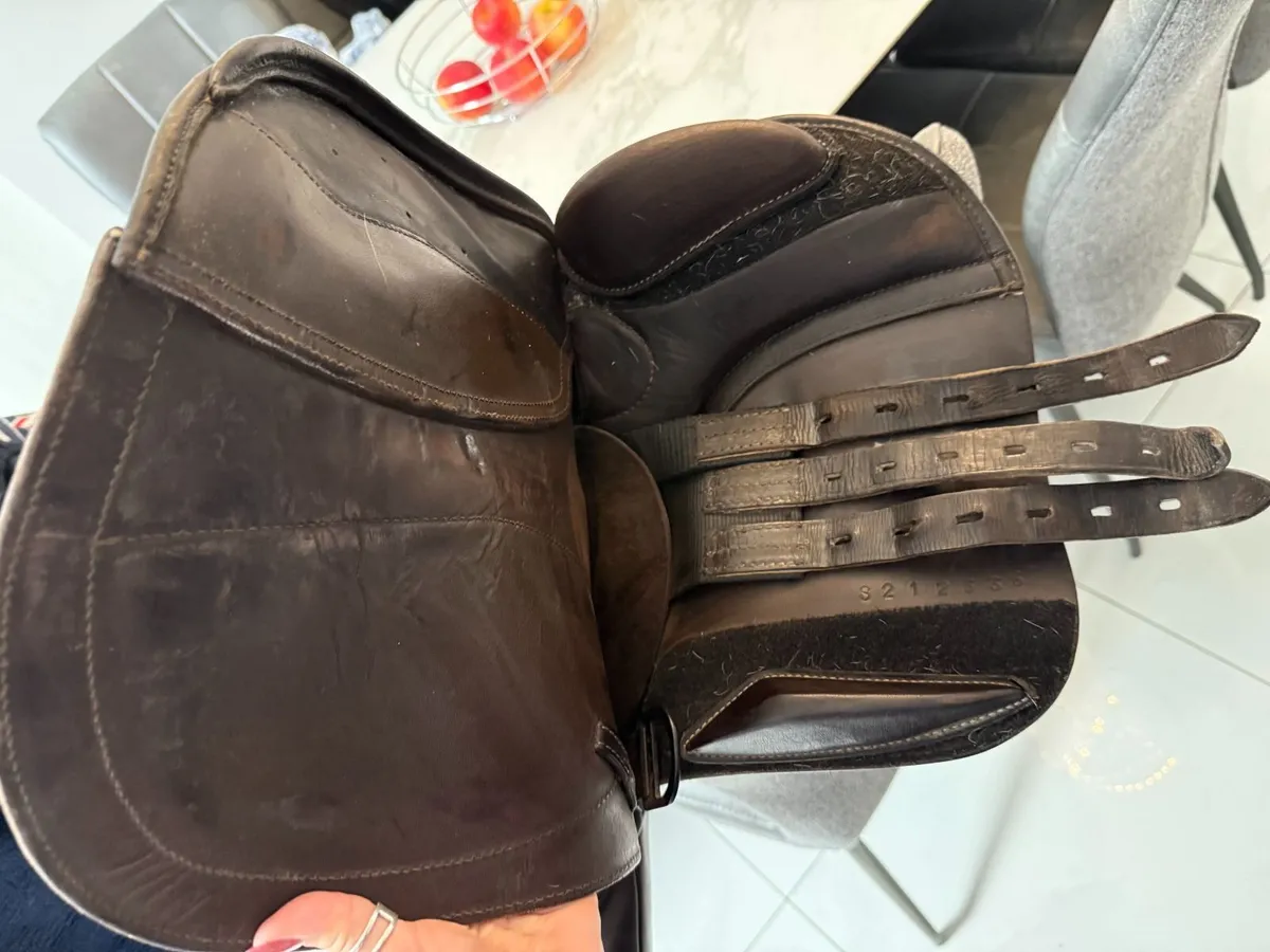 Horse Saddle GFS - Image 3
