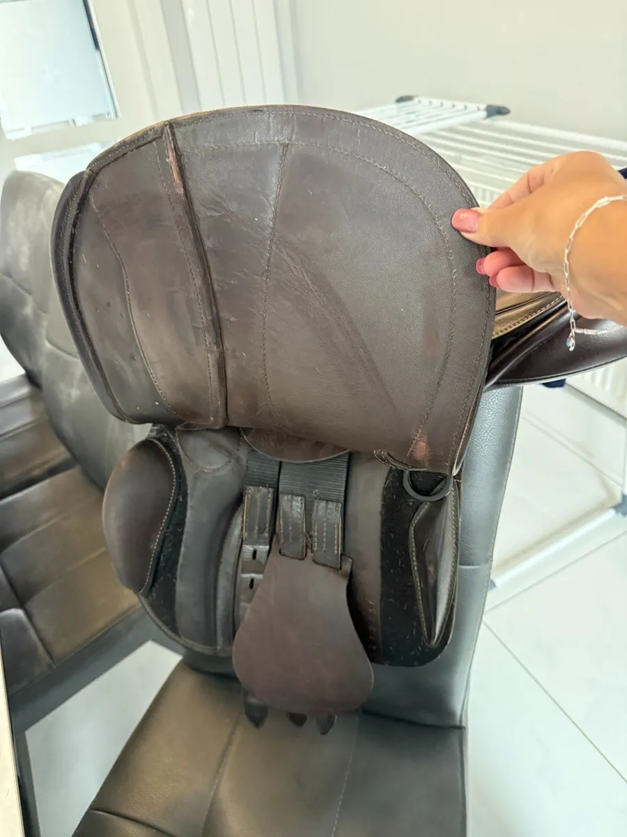 Horse Saddle GFS - Image 4