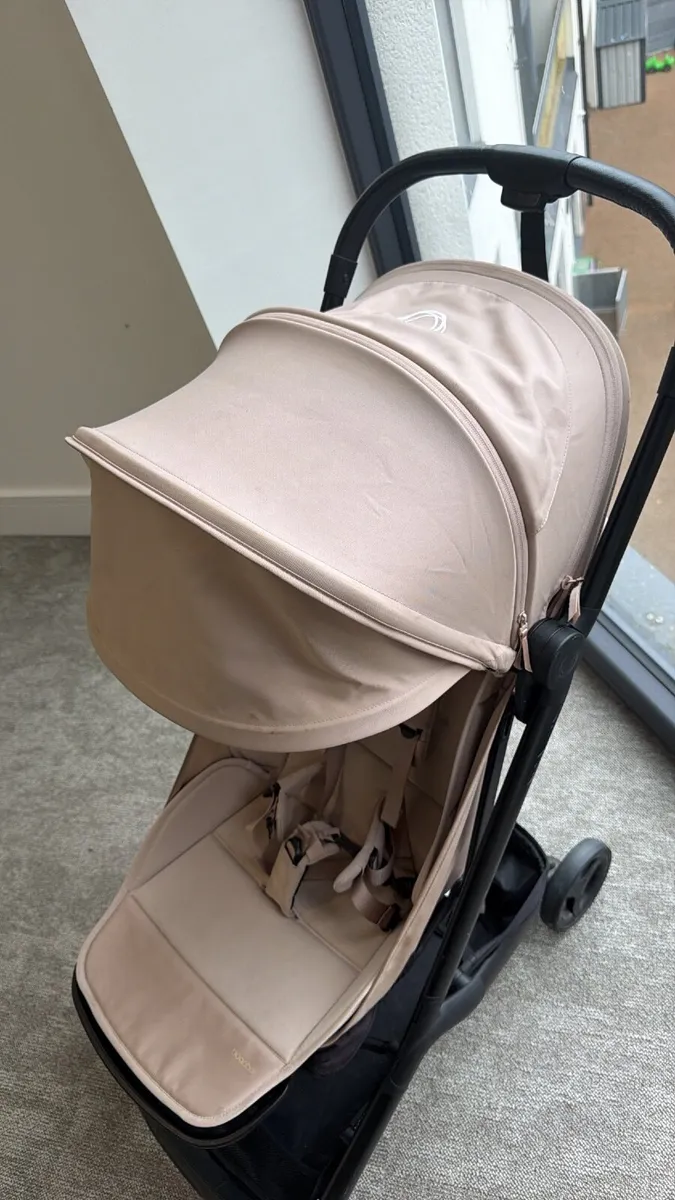 Buggy - Image 1