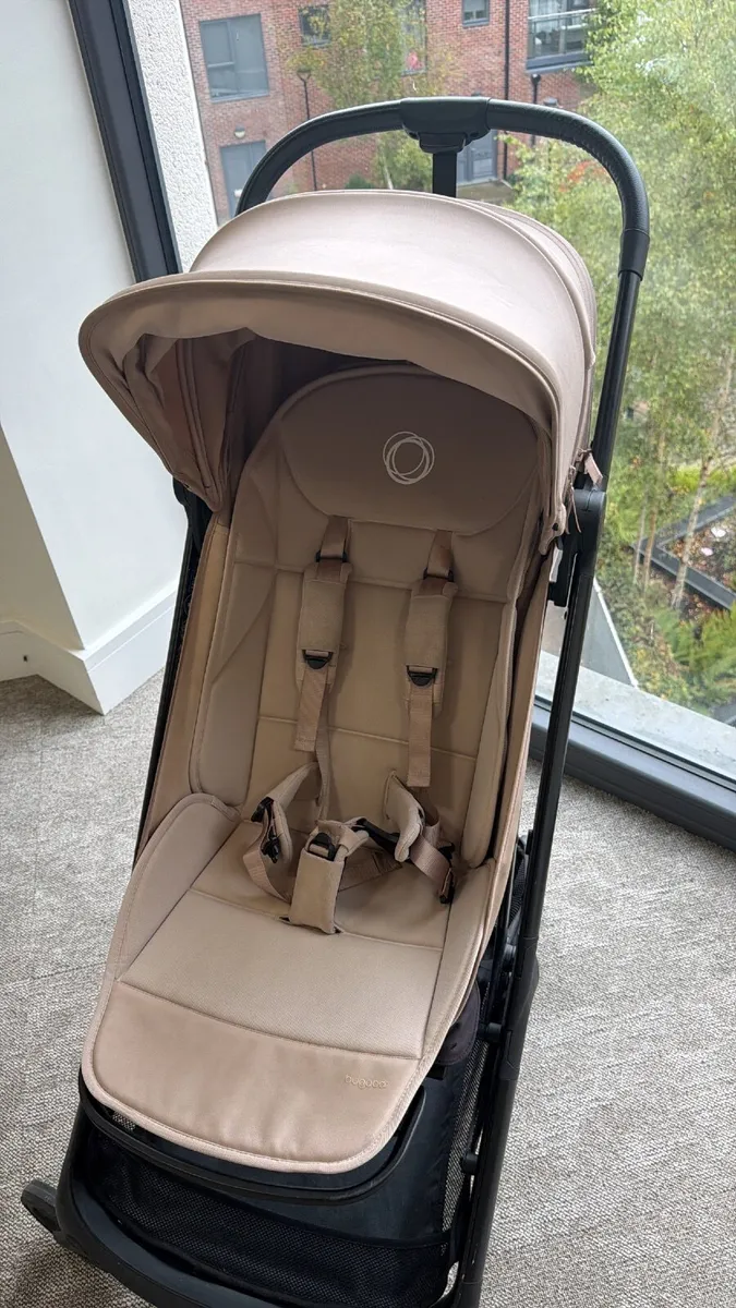 Buggy - Image 2