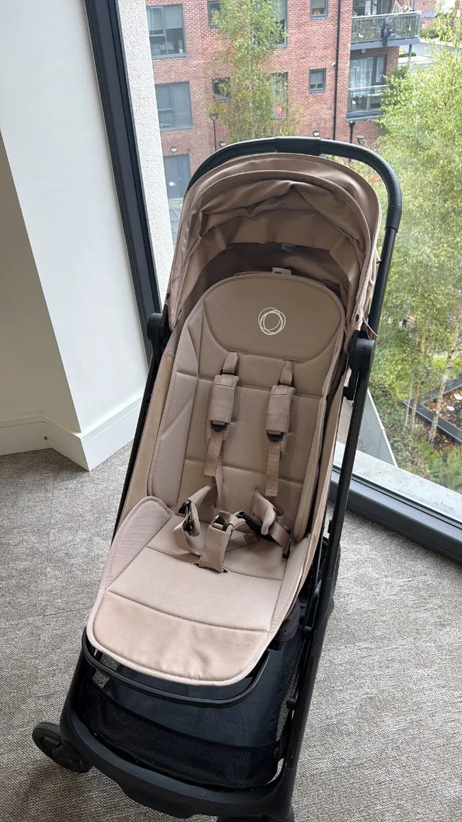Buggy - Image 3