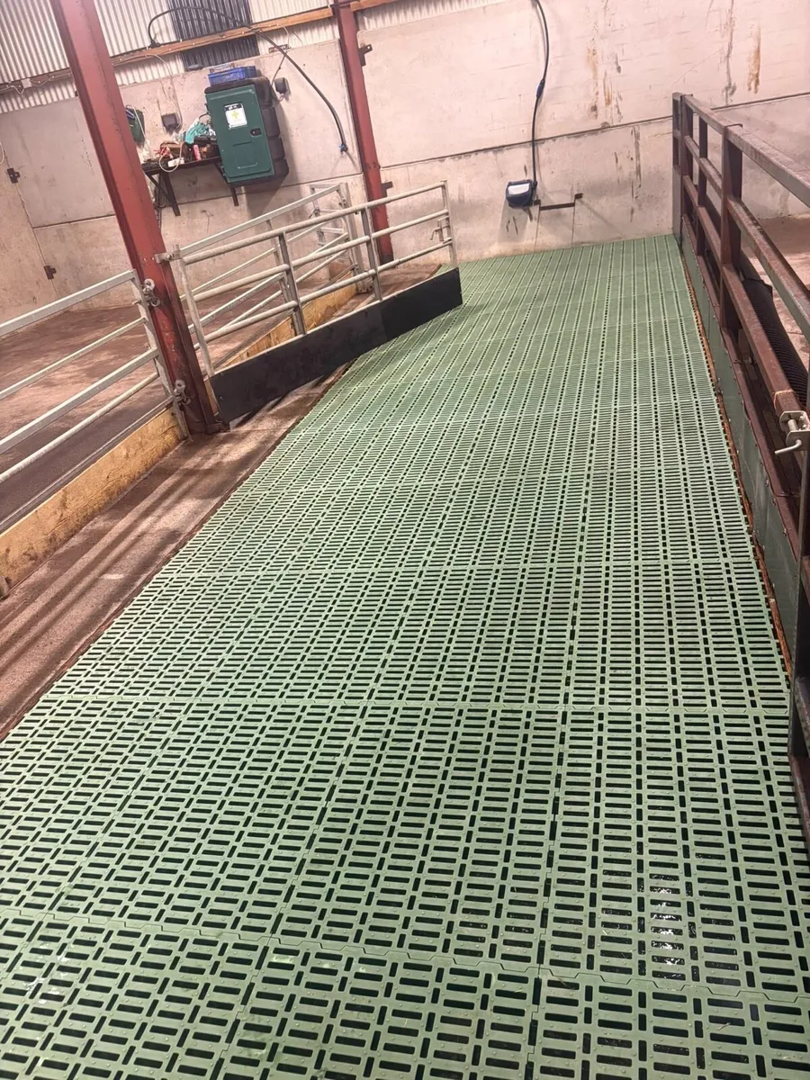 Plastic sheep slats - Image 2