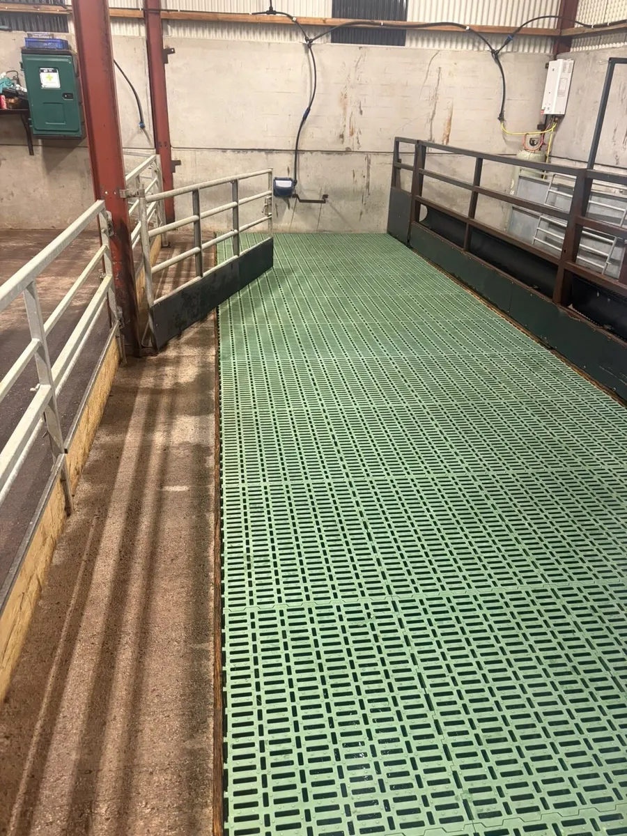 Plastic sheep slats - Image 1