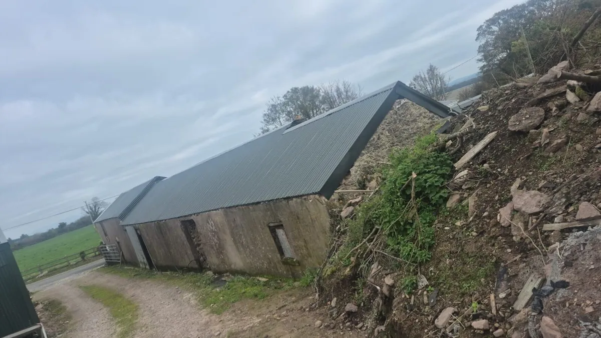 Farm Painting. Sheds. Outhouses. Top Quality Work - Image 4