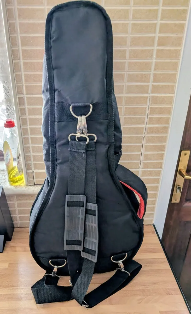 Denver mandolin and gig bag for sale