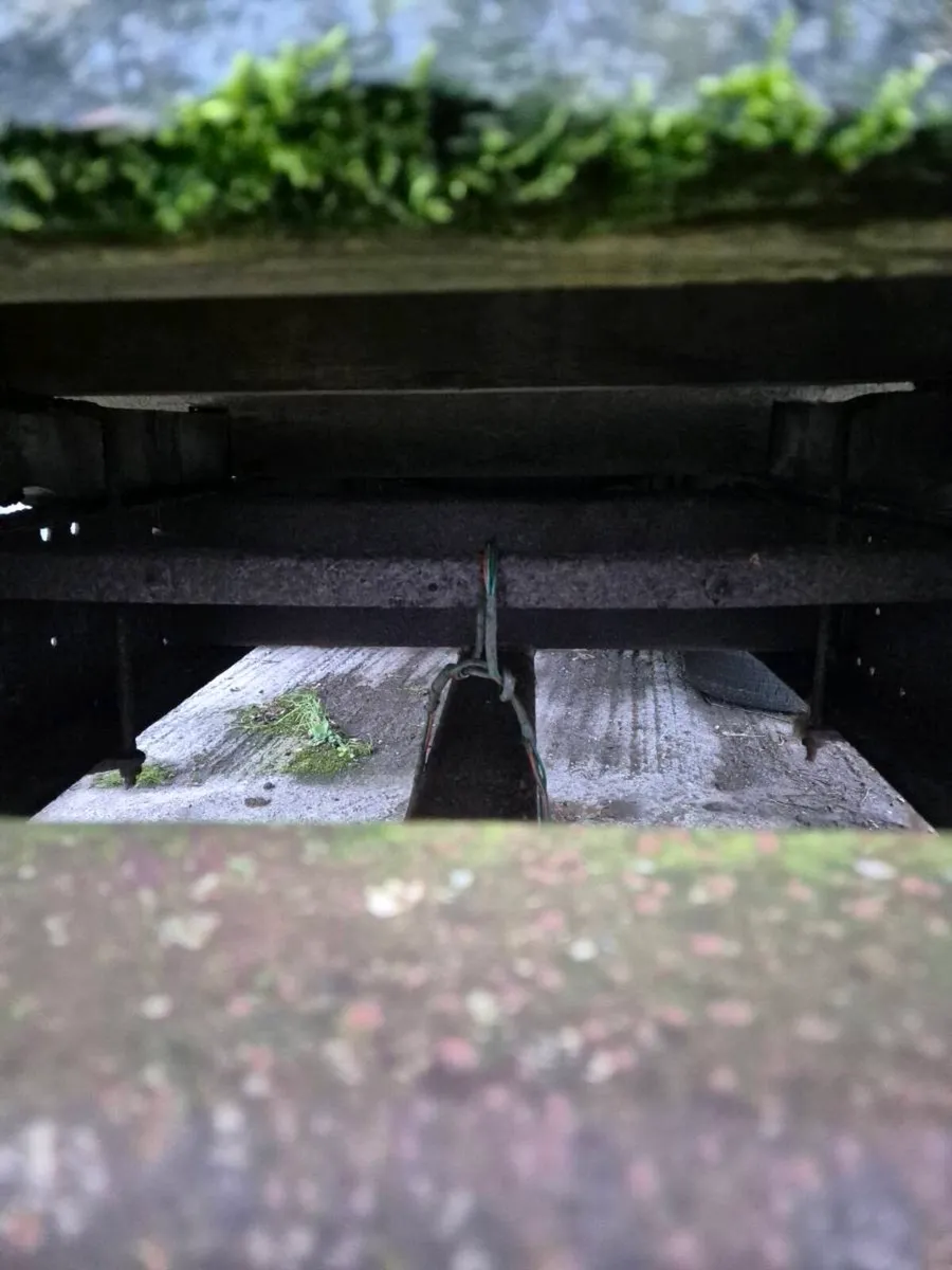 Cattle trailer - Image 2