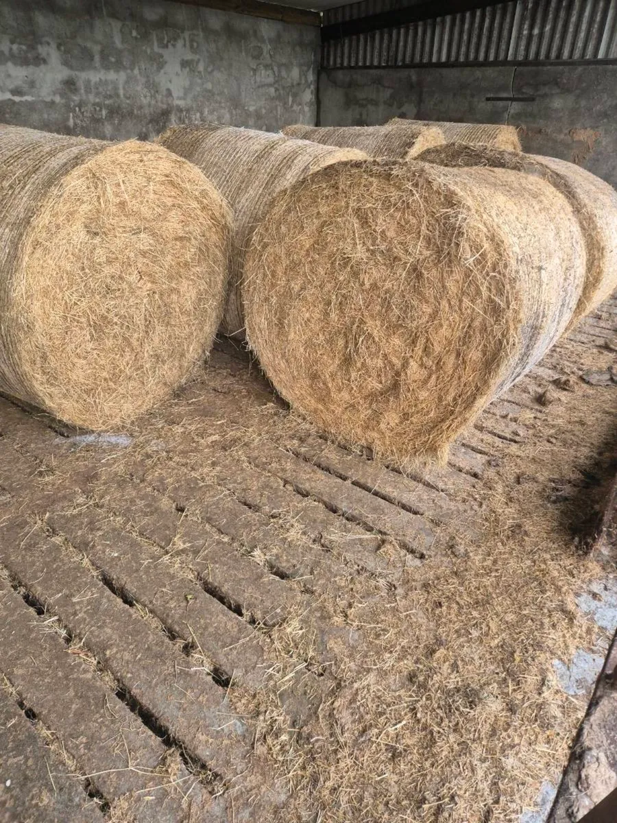 Hay bales - Image 2