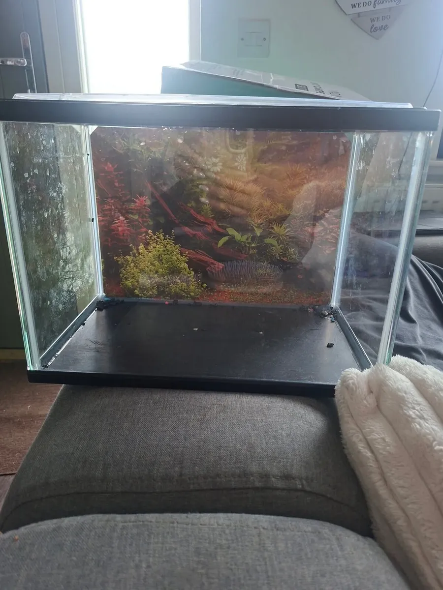 Small fish tank