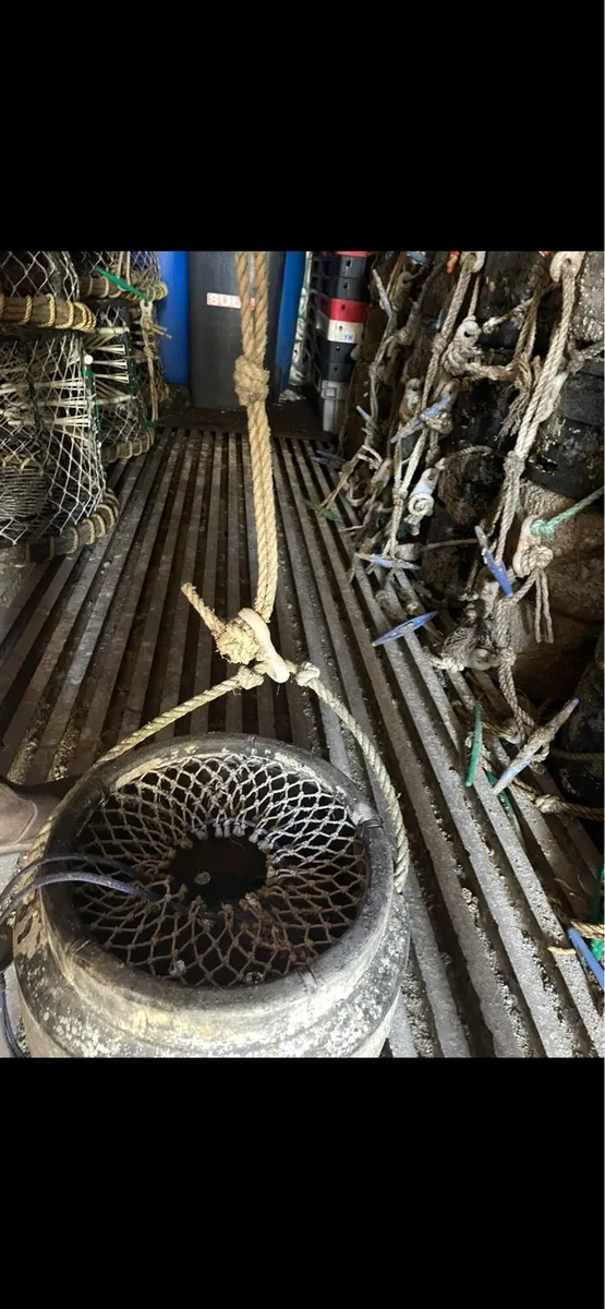 Whelk pots - Image 2