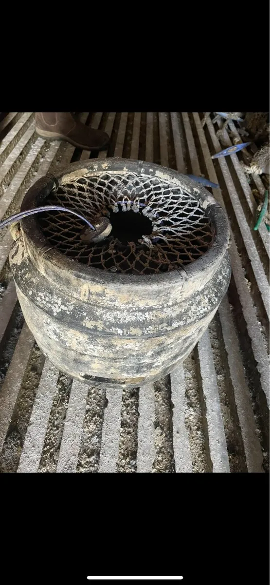 Whelk pots - Image 3