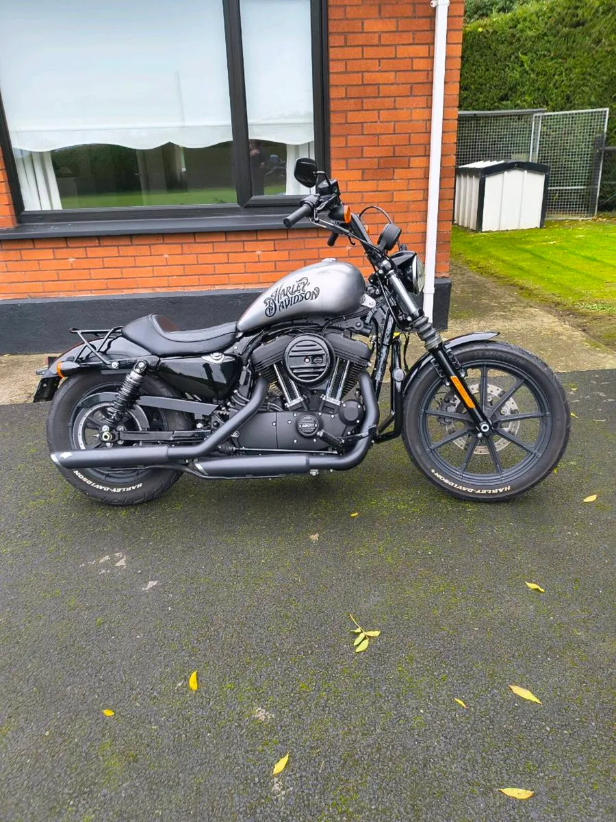 Harley Davidson sportster iron 1200 - Image 1