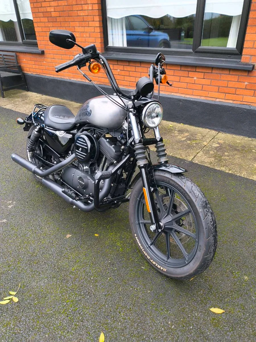 Harley Davidson sportster iron 1200 - Image 2
