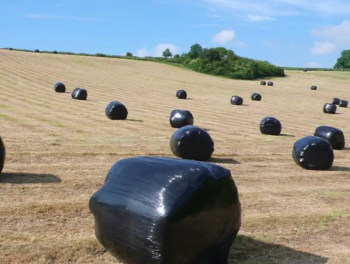 Silage bales