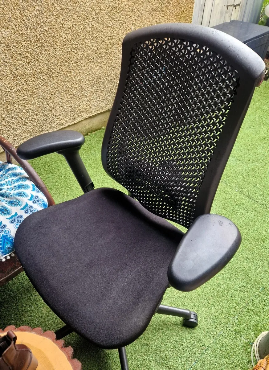 Eliza Tinsley Ergonomic Chair