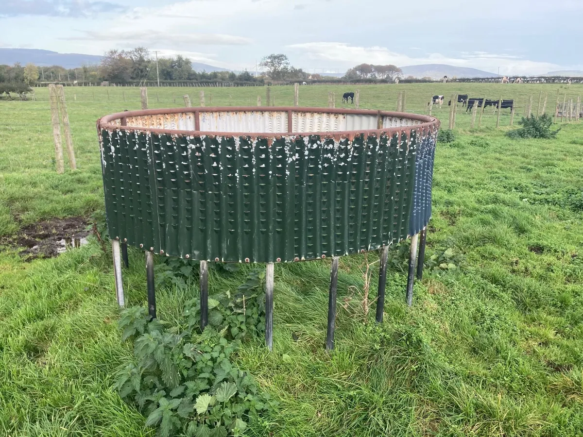 Ring feeders - Image 3