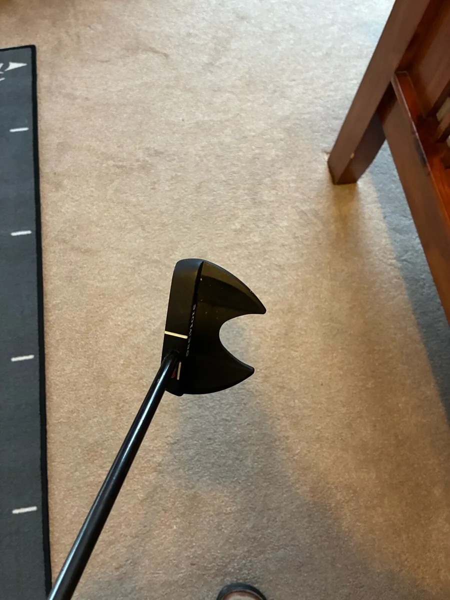 Seemore Putter - Image 4