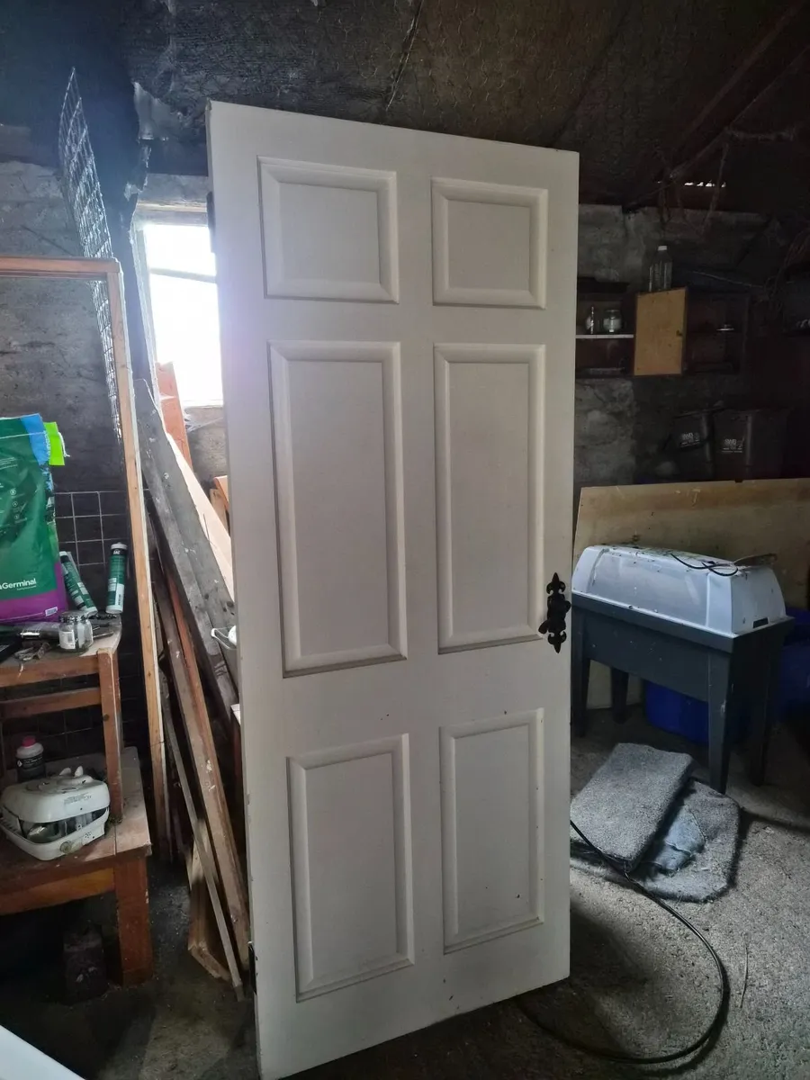 Doors - Image 2