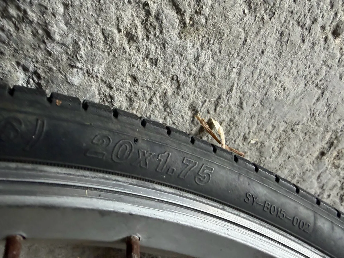 Bike - Image 3
