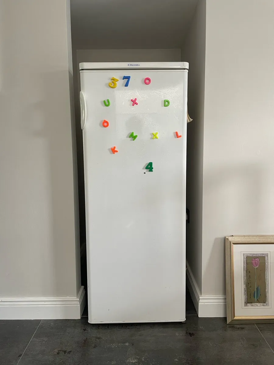 Larder fridge - Image 1