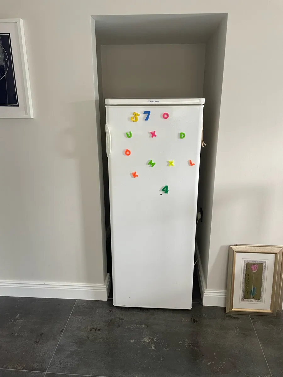 Larder fridge - Image 2