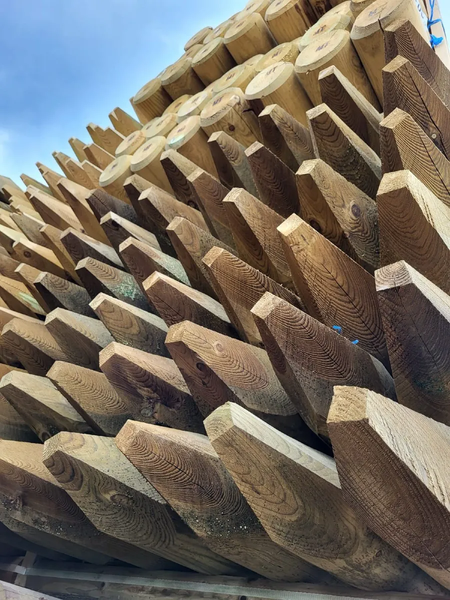 Fencing Posts - Image 2
