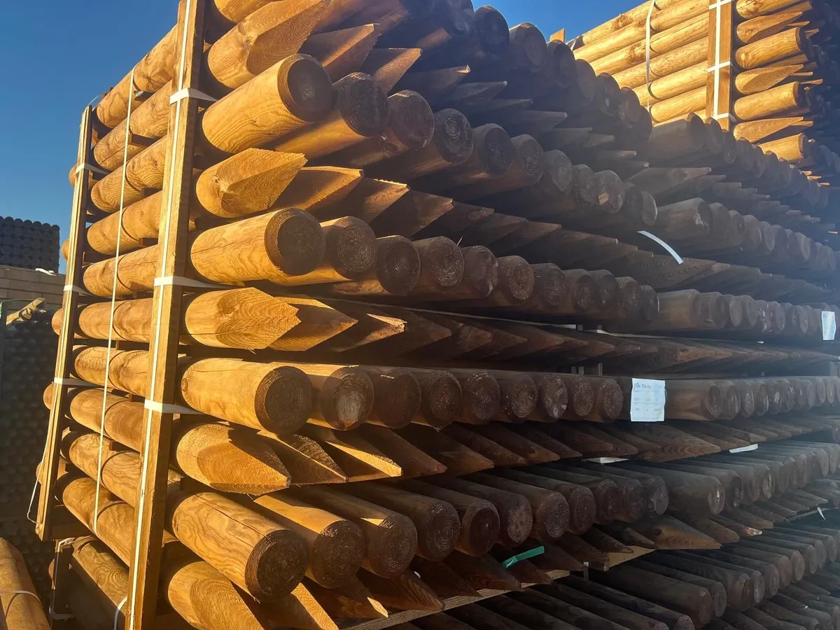 Fencing Posts - Image 4