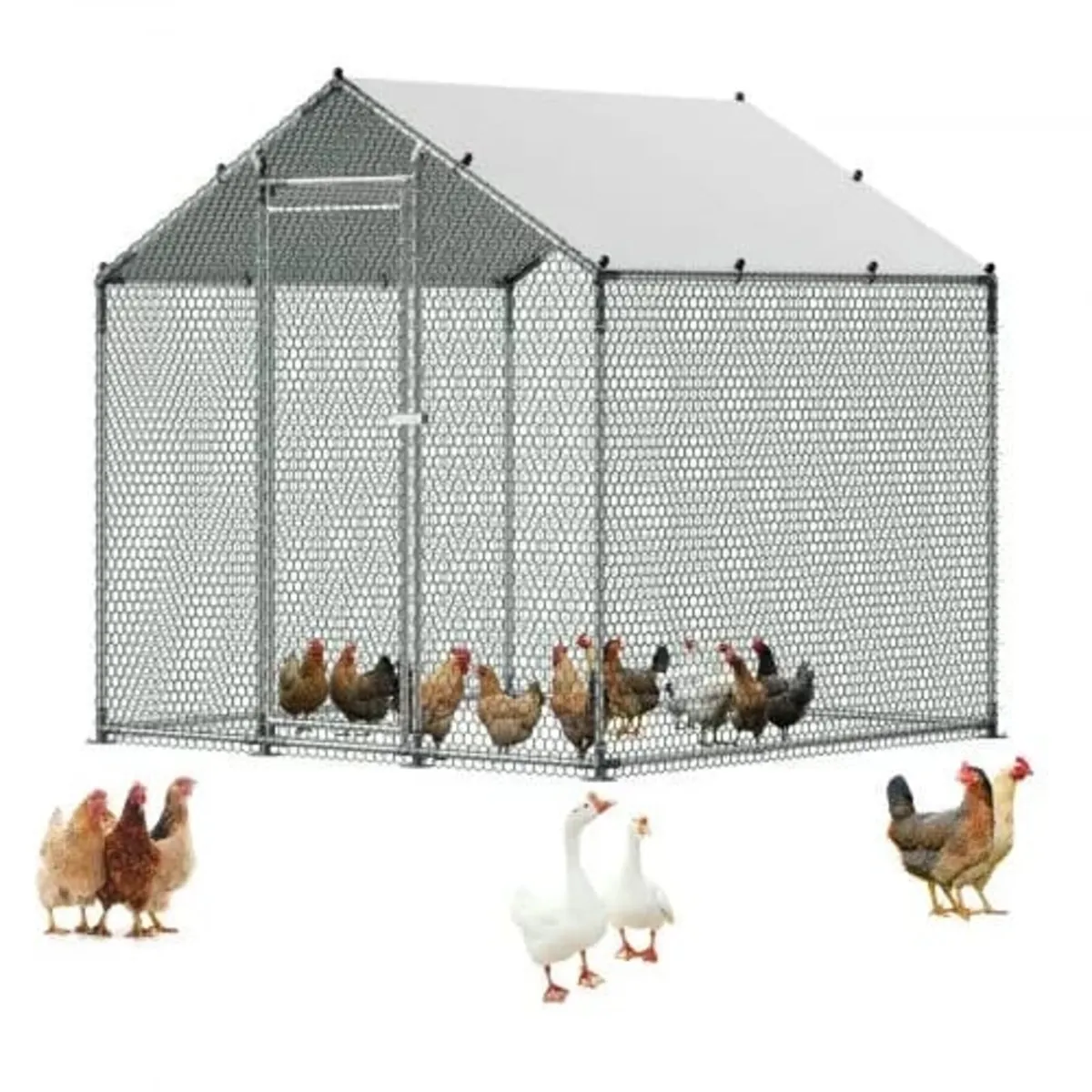 Metal Chicken Coop, 6.56x6.56x6.56ft Large Walk-in - Image 1
