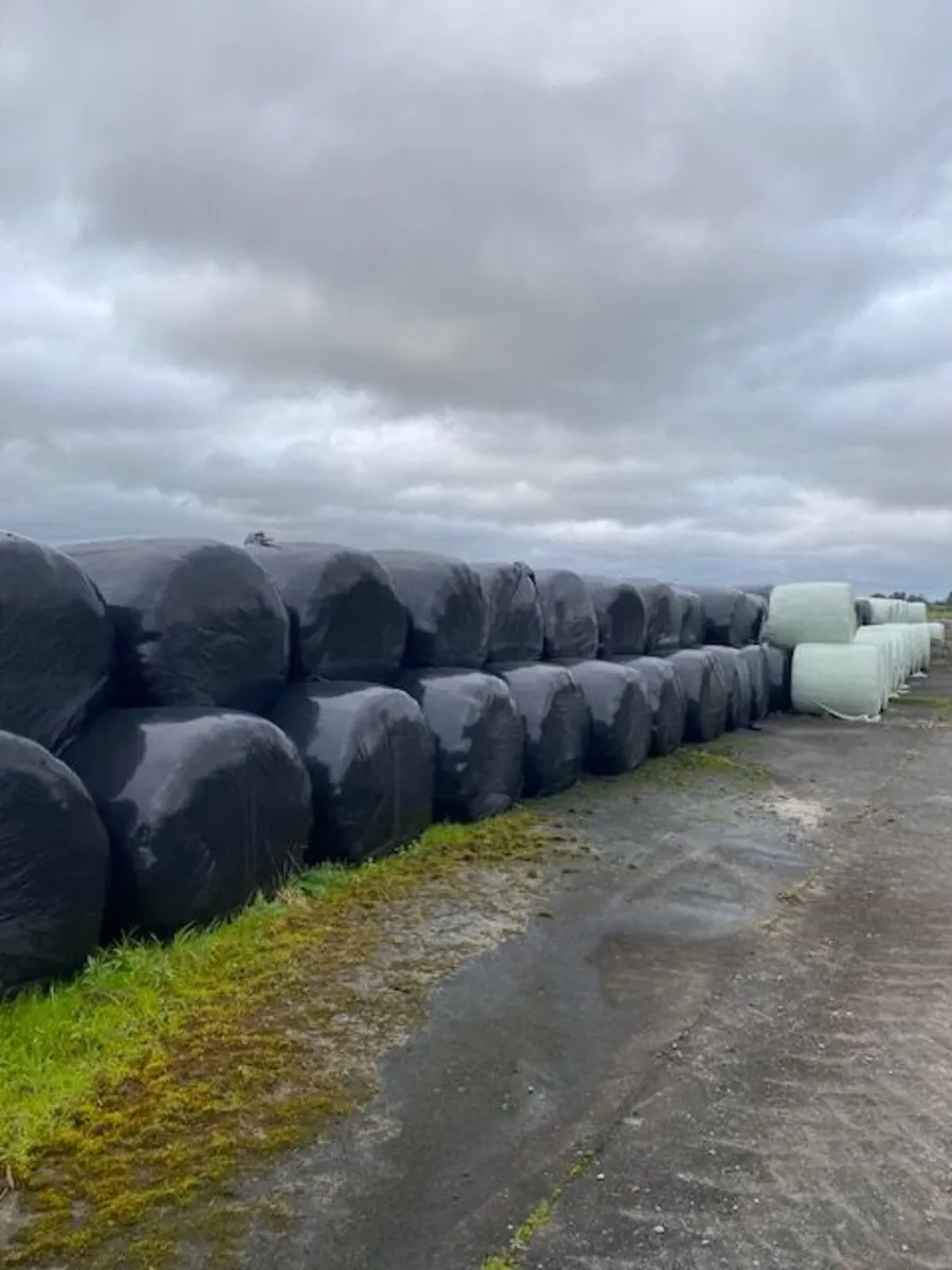 Silage/Haylage bales - Image 1