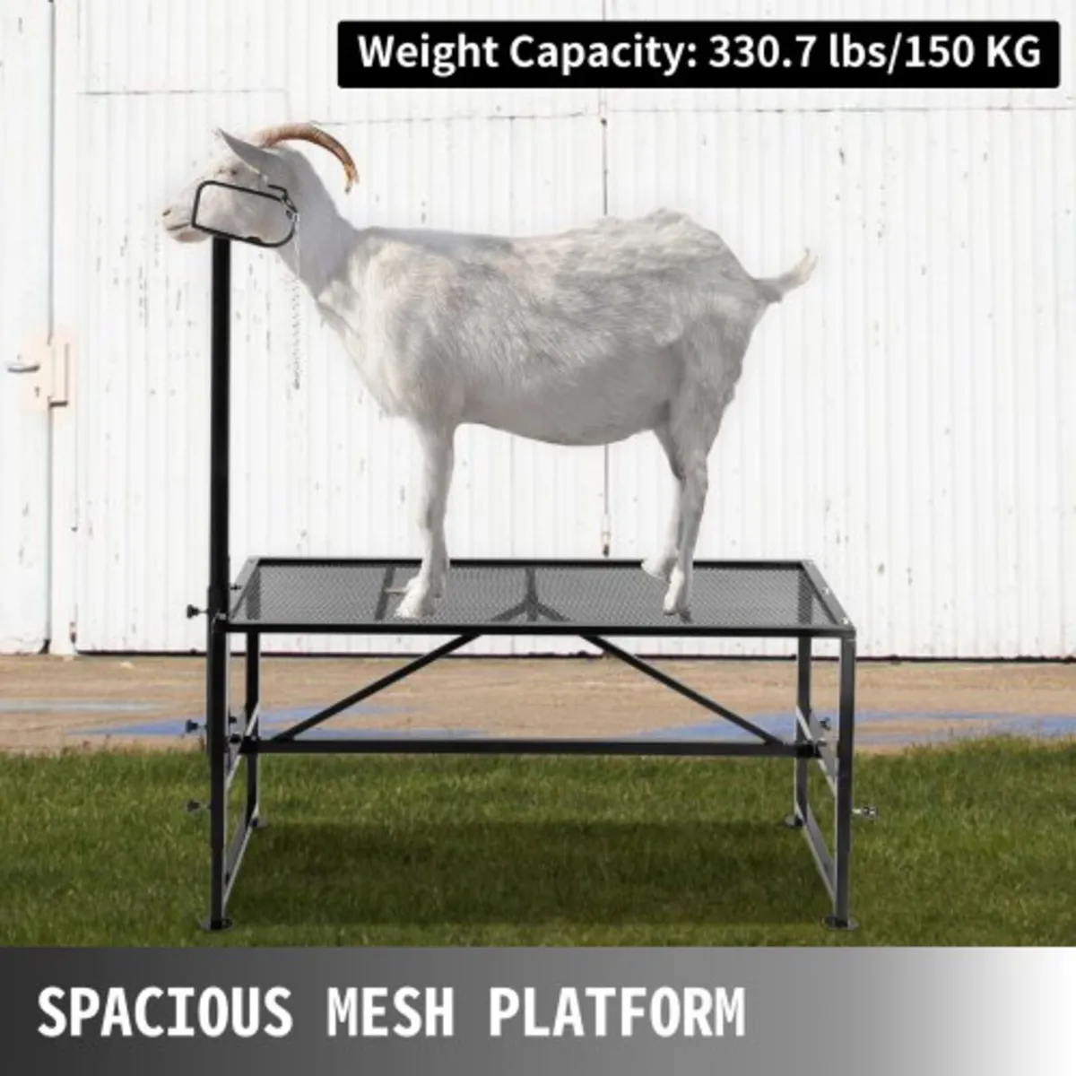 Livestock Stand 51x23 inches, Trimming Stand with - Image 2