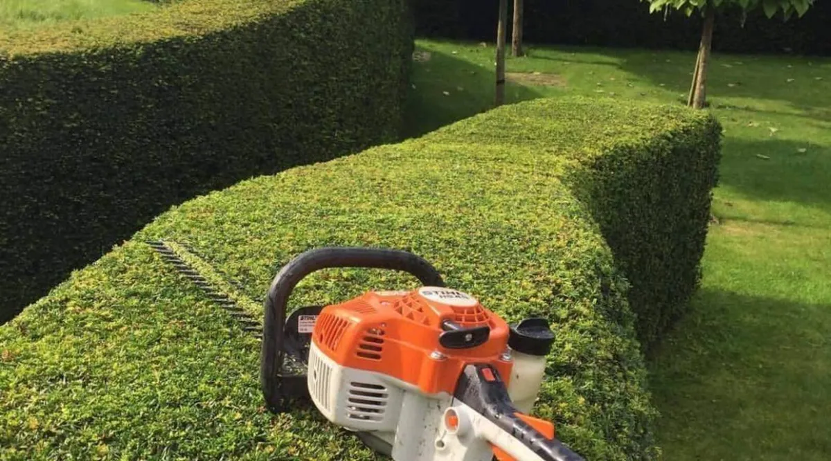 Hedge Cutting! - Image 1