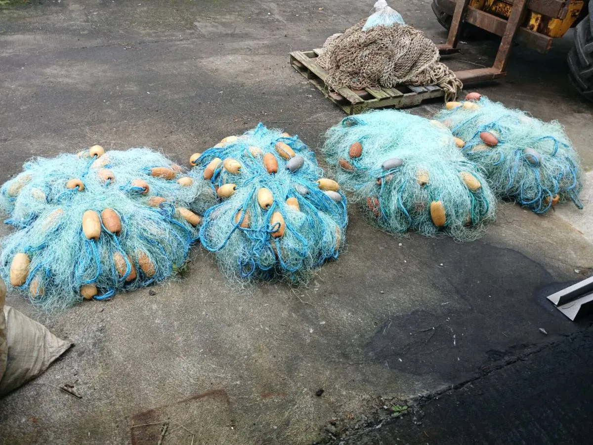 Large selection of fishing gear and nets - Image 1