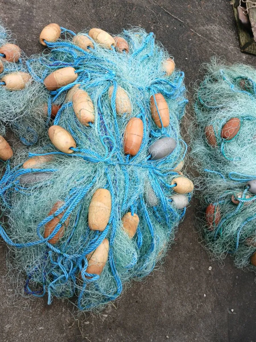 Large selection of fishing gear and nets - Image 2