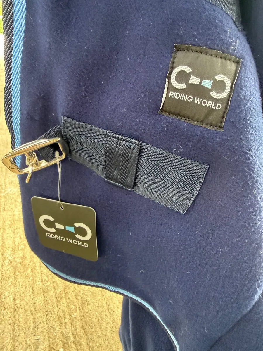 Riding World, 5’9” cooler, brand new - Image 3