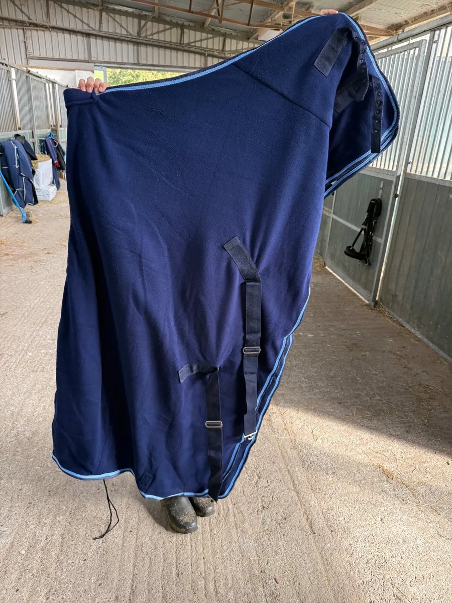 Riding World, 5’9” cooler, brand new - Image 4
