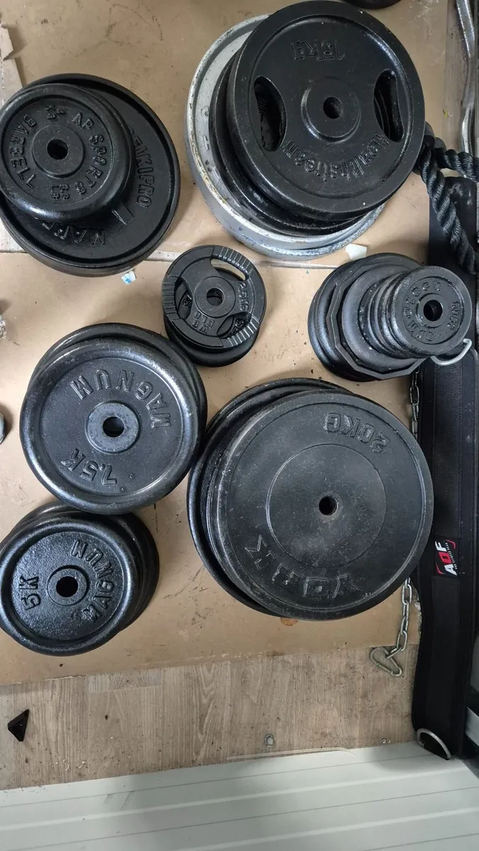 Gym weights