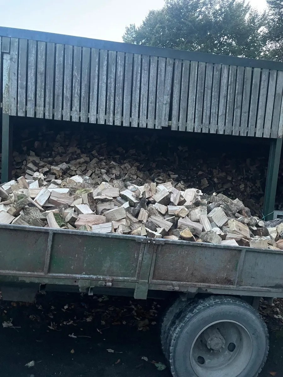 Firewood - Image 1