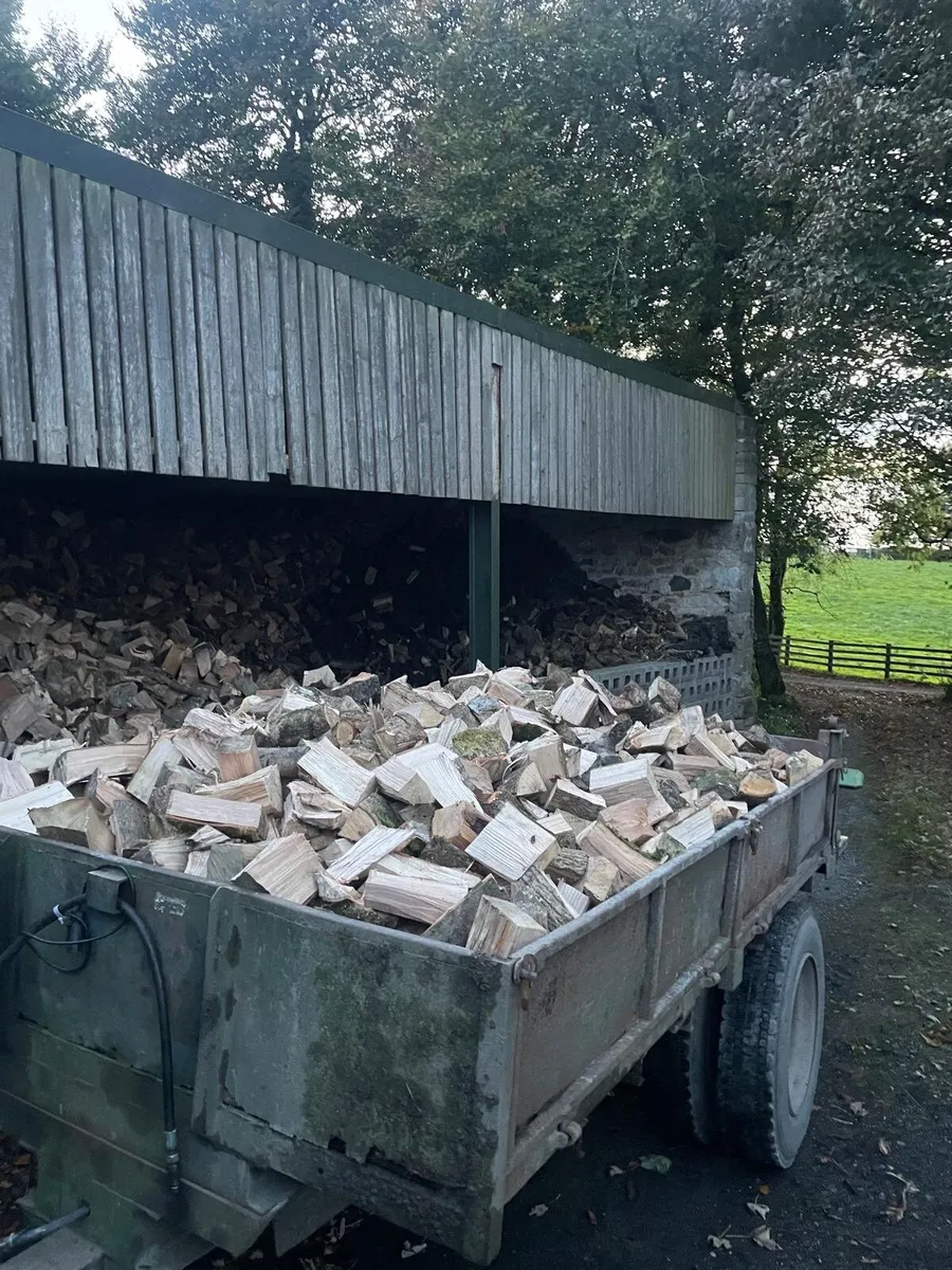Firewood - Image 2