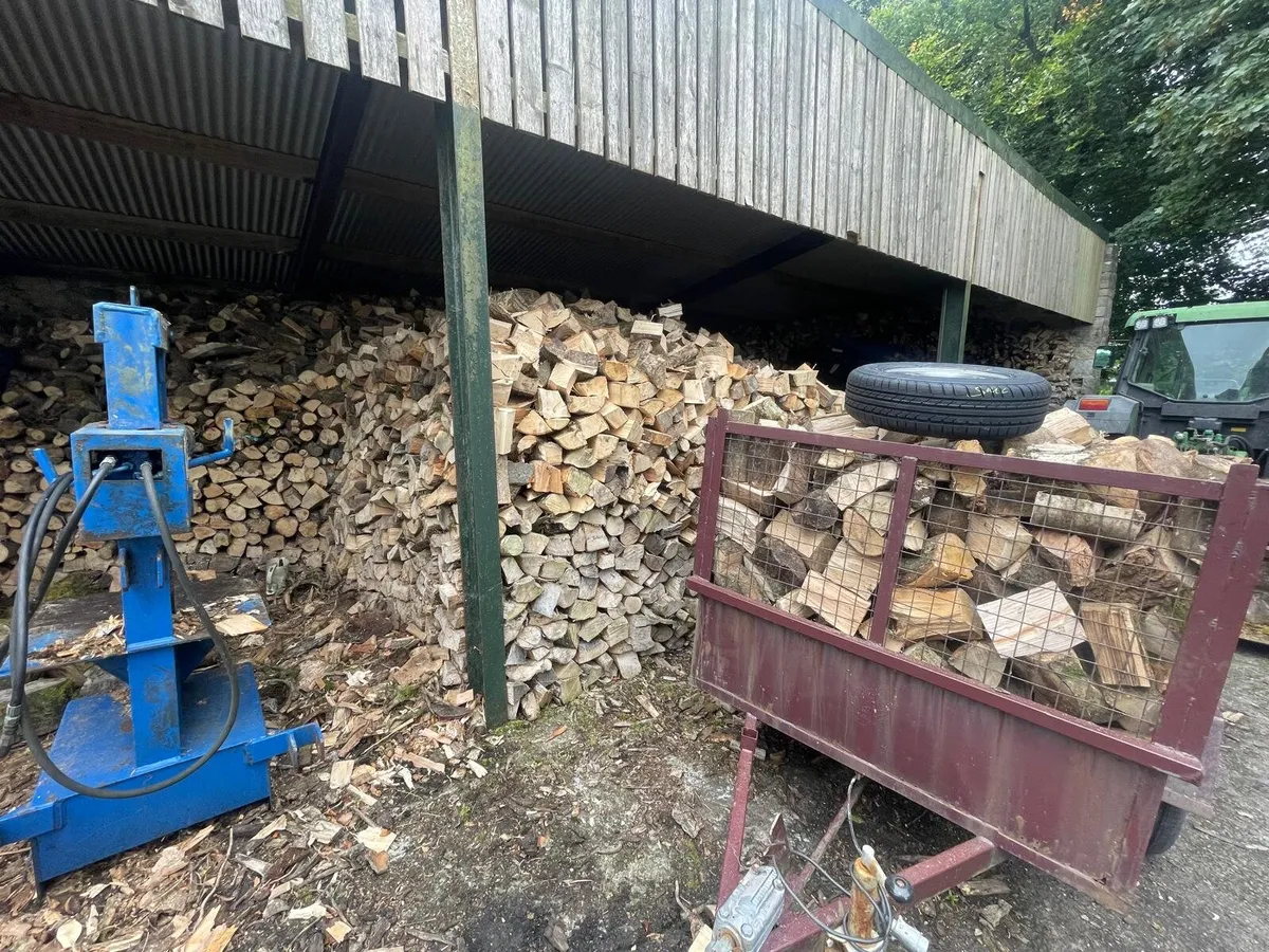 Firewood - Image 3