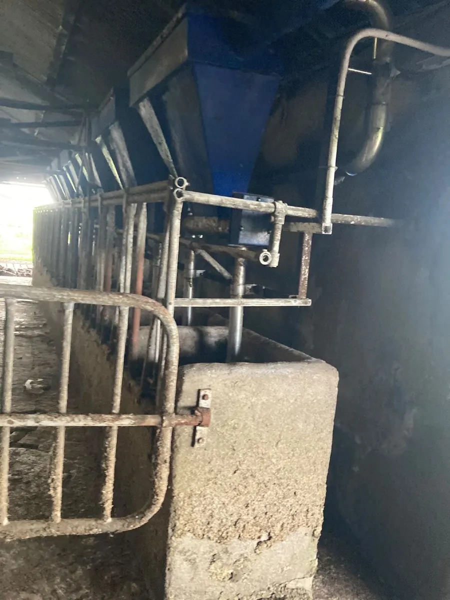 Milking equipment - Image 2