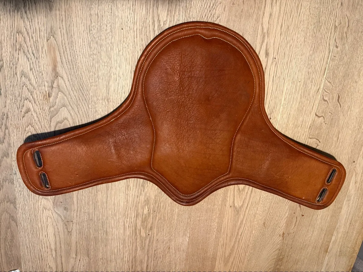 Antares brown leather stud girth - Image 2