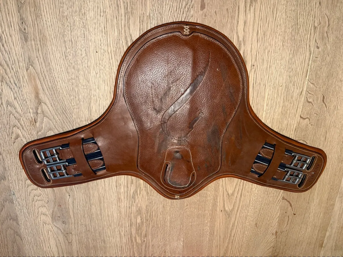 Antares brown leather stud girth - Image 1