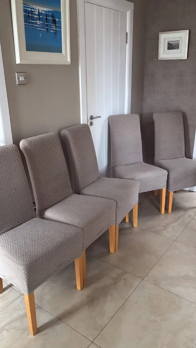 5 Dining Room chairs - Free - Image 1