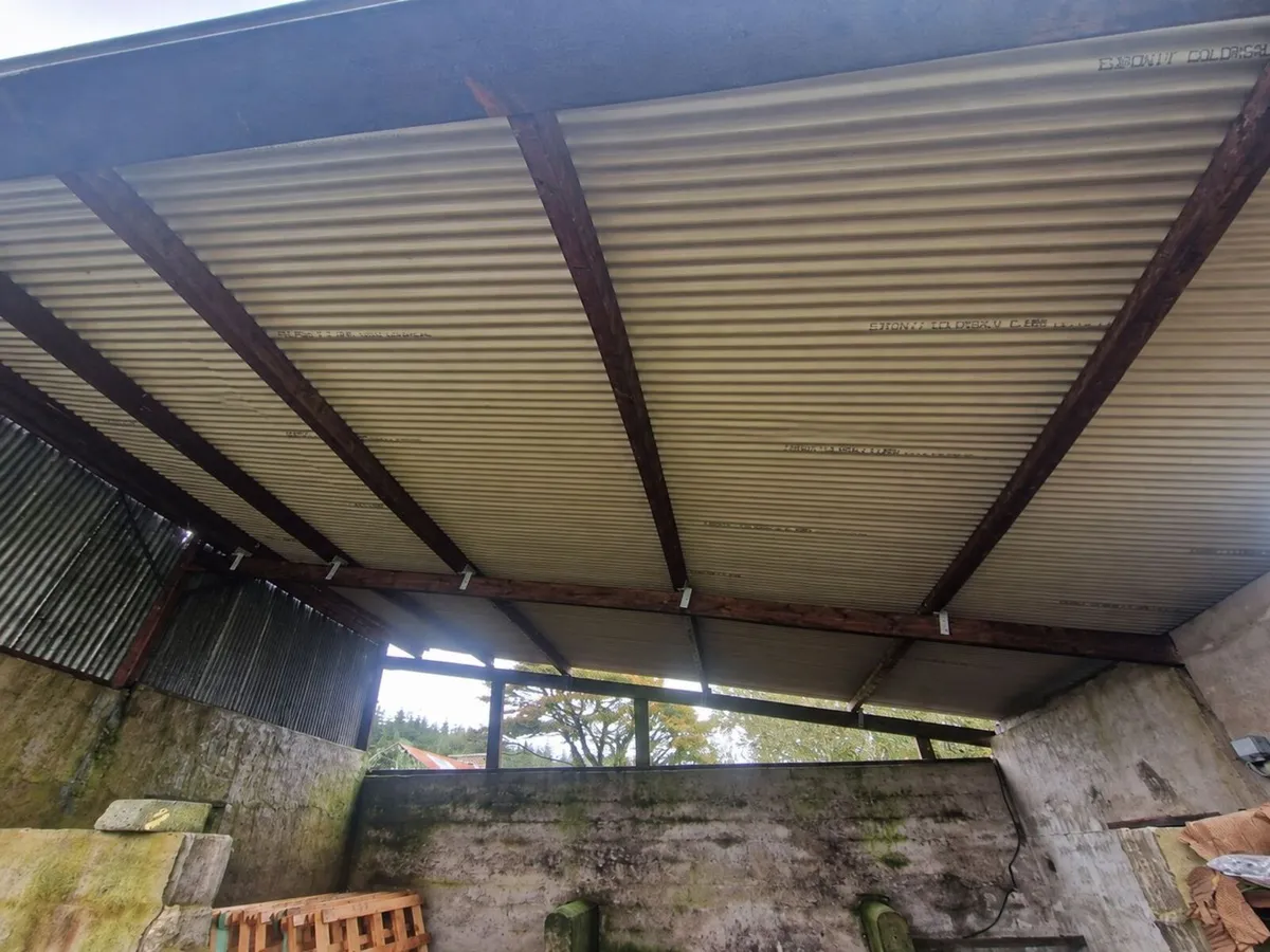Cork Farm Painters & Shed Repairs - Image 2